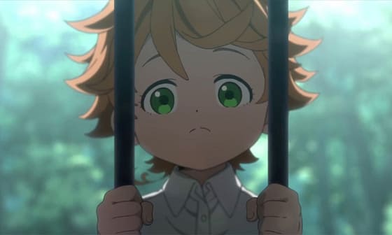 The Promised Neverland