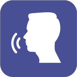 Voice Guide