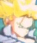446