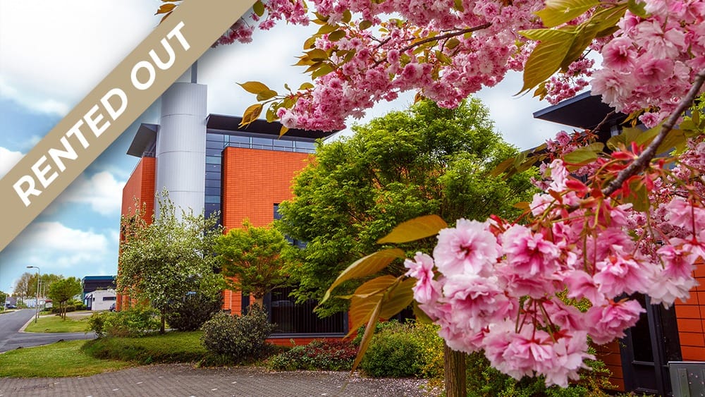 Interpark Vastgoed Granaatstraat 6 rented out